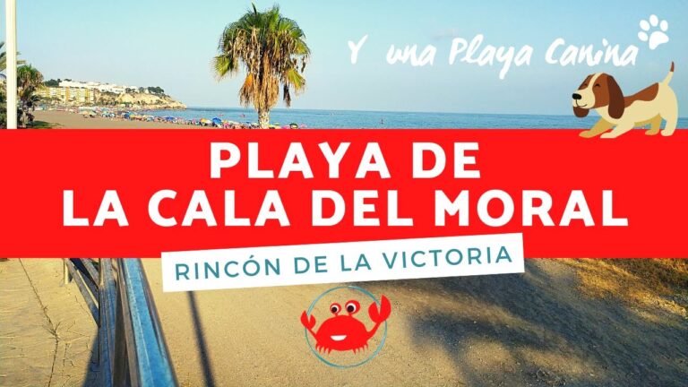Descubre los mejores rincones para tomar el sol en Rincón de la Victoria