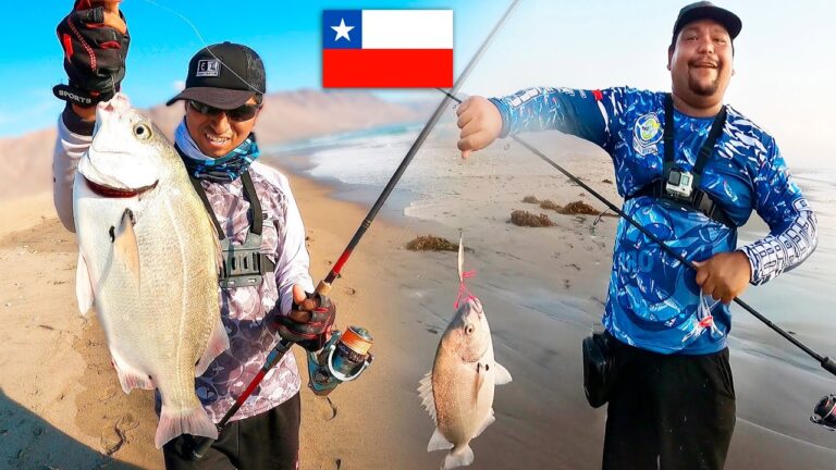Playa y perro: una combinaci&oacute;n perfecta en Matalasca&ntilde;as