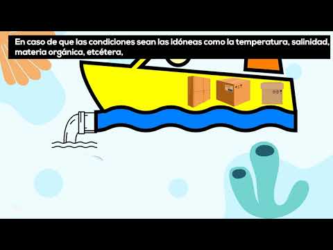 Descubre los rincones secretos en las costas de Cádiz: ¡Sorpresas ocultas a tu alcance!
