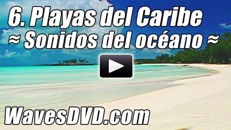 Descubre la relajación y belleza de las playas caribeñas