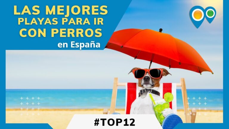 Playas de Tarifa: Consejos para disfrutarlas al máximo con tu perro