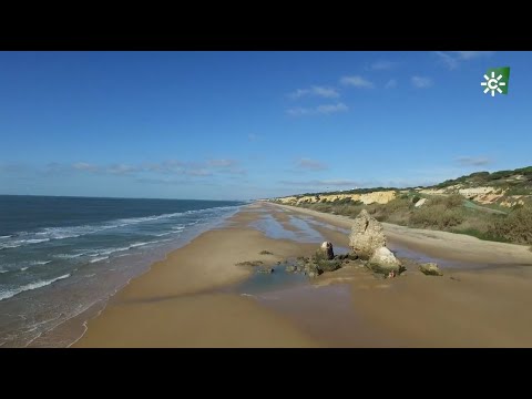 Descubre la Guía Completa para Disfrutar de las Playas de El Palmar, Cádiz