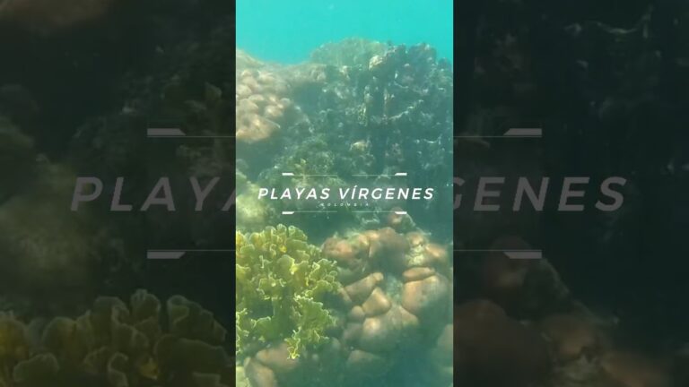 Descubre las Playas Vírgenes de Ensueño: Paraísos Ocultos que te Sorprenderán