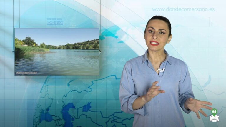Descubre las playas hermosas en Valladolid: un oasis sorprendente
