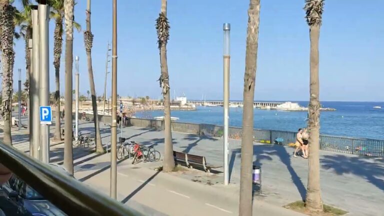 Sumérgete en Barcelona: Disfruta del sol y el mar en la ciudad