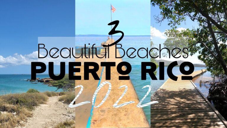 ¡Descubre el paraíso en vivo! Cámaras web en playas TOP