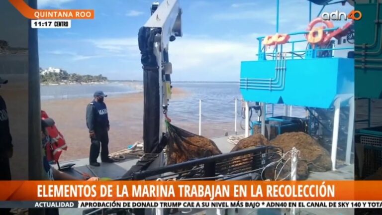 Playas seguras: vigilancia en tiempo real garantiza tu tranquilidad