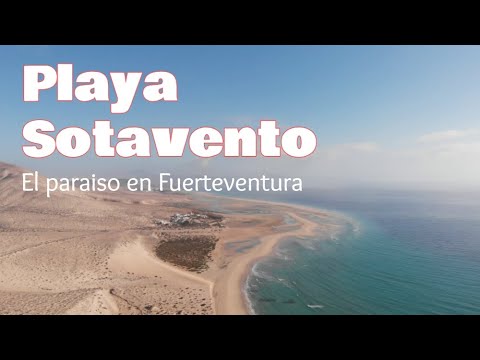Descubre las impresionantes playas de arena blanca en Fuerteventura