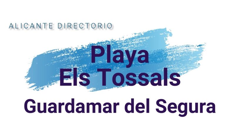 Descubre las espectaculares playas de arena fina en Guardamar del Segura