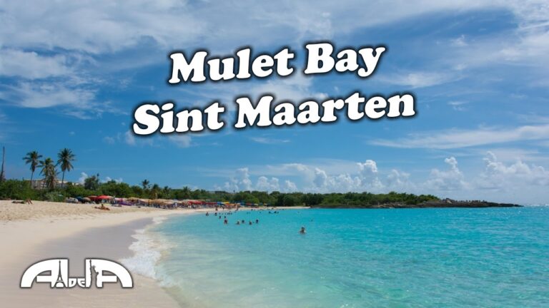 Descubre las Mejores Playas de San Martín: Paraíso Tropical a solo un vuelo de distancia