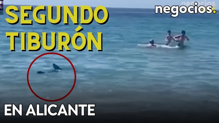 España sorprendida: Aumentan los avistamientos de tiburones