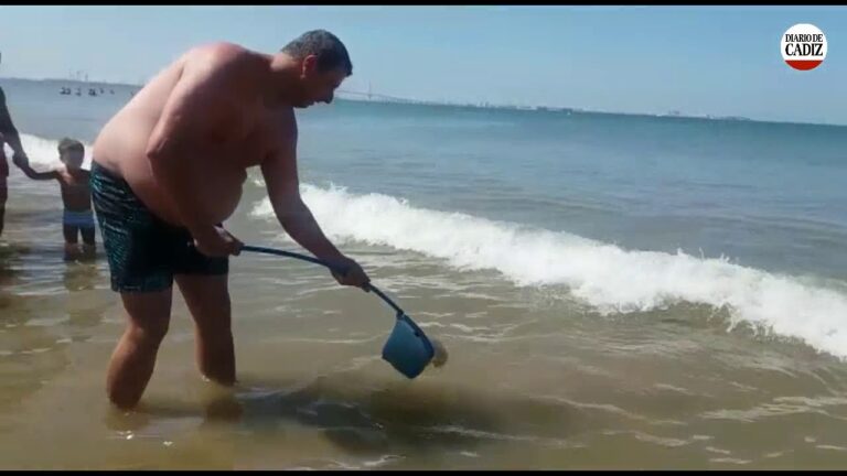 Alerta: Playas de Huelva en riesgo por proliferación de medusas