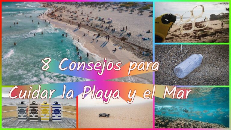 5 acciones para preservar playas y evitar contaminaci&oacute;n