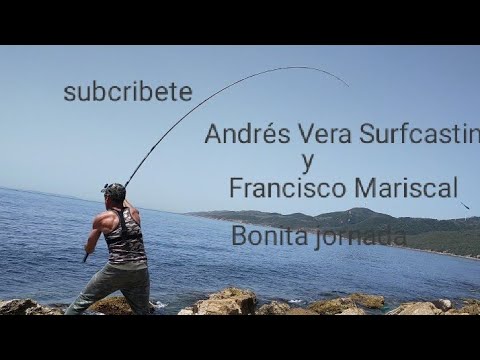 Descubre las playas vírgenes de la Alcaidesa: un paraíso natural único