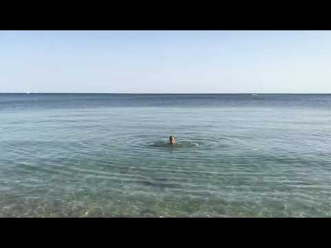 Descubre las imprescindibles playas en Alghero, Cerdeña