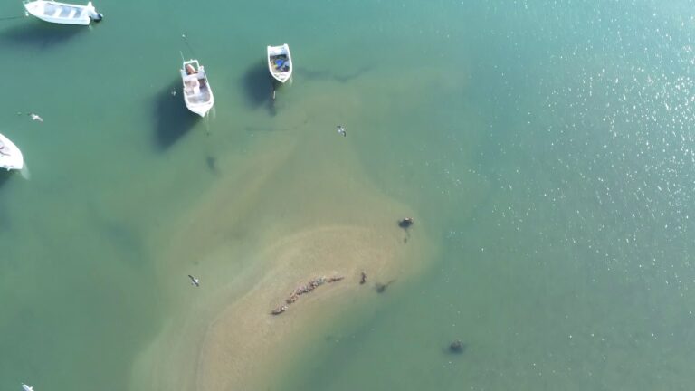 Descubre las fabulosas playas de Punta del Moral