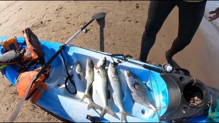 Mejora tus transmisiones en vivo desde la playa con el equipamiento necesario para c&aacute;maras en directo