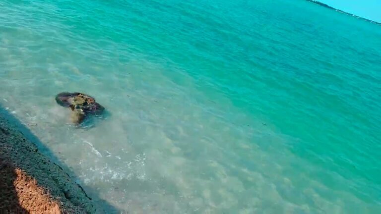 Descubre las mejores playas para relajarte en San Julián