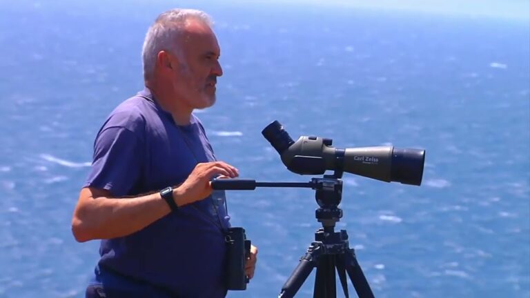 Descubre los tesoros del litoral de Sanl&uacute;car de Barrameda
