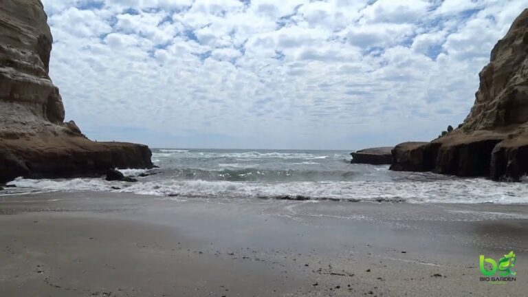 Descubre las Playas Vírgenes de Valparaíso: Paraísos Ocultos en Chile