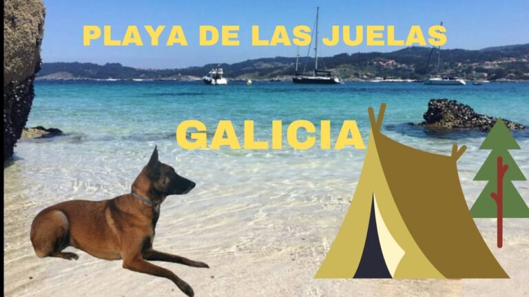 Descubre las maravillas naturales: Explora las playas de Combarro