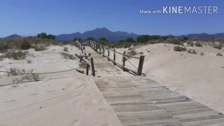 Descubre las Mejores Playas Nudistas en Gandia: Paraíso Natural
