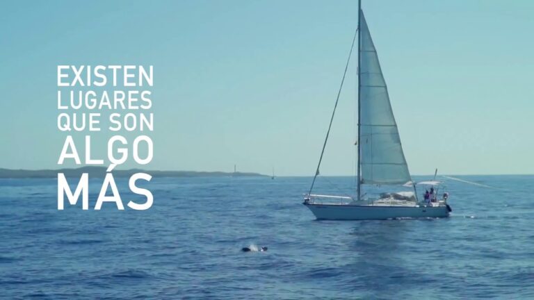 Descubre Tenerife y disfruta del sol &iexcl;Un para&iacute;so bajo el cielo!
