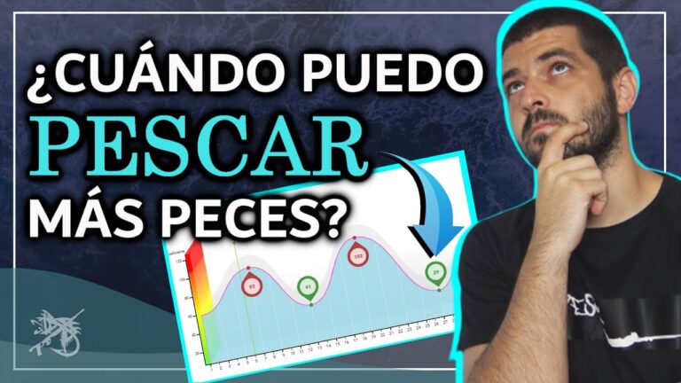 Descubre las temporadas ideales para pescar en nuestras playas paradisíacas
