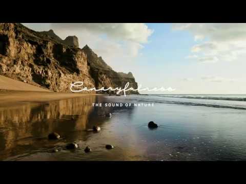 Descubre la relajaci&oacute;n total en las playas de Tenerife