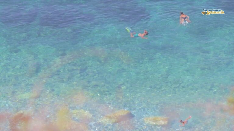 Descubre las sorprendentes diferencias entre playas de agua amarga y playas de agua dulce