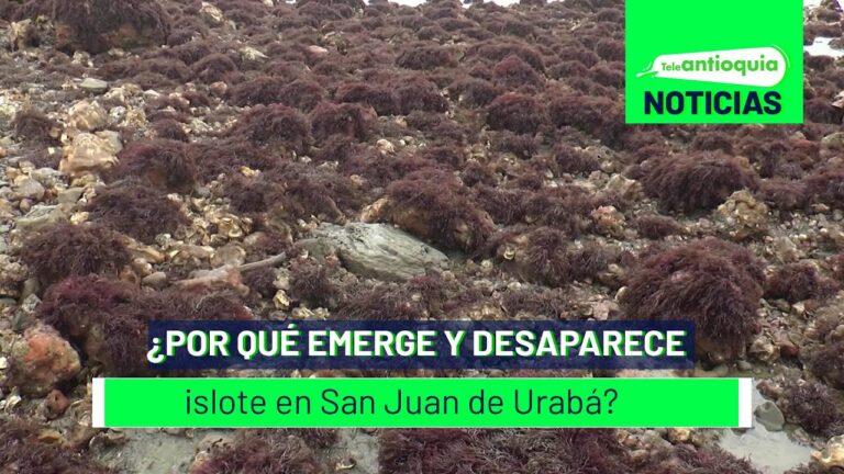 Maravíllate con las playas vírgenes del Prado: un paraíso oculto por descubrir