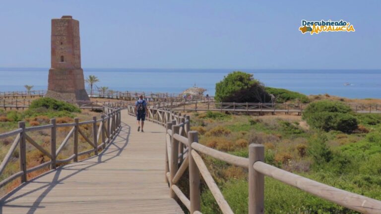 Descubre las imperdibles actividades en las playas de Marbella, España