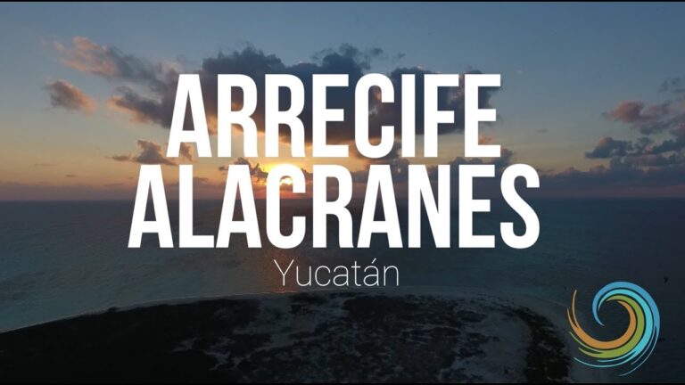 Descubre las impresionantes playas con arrecifes de coral en Yucatán