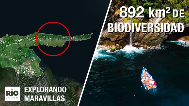 Descubriendo los secretos de las costas de Borneo: una aventura fascinante