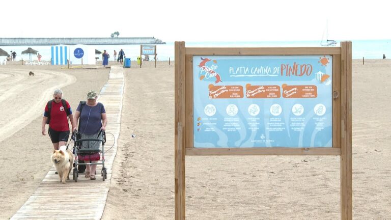¡Descubre los requisitos imprescindibles para disfrutar de las playas de Valencia con tu perro!